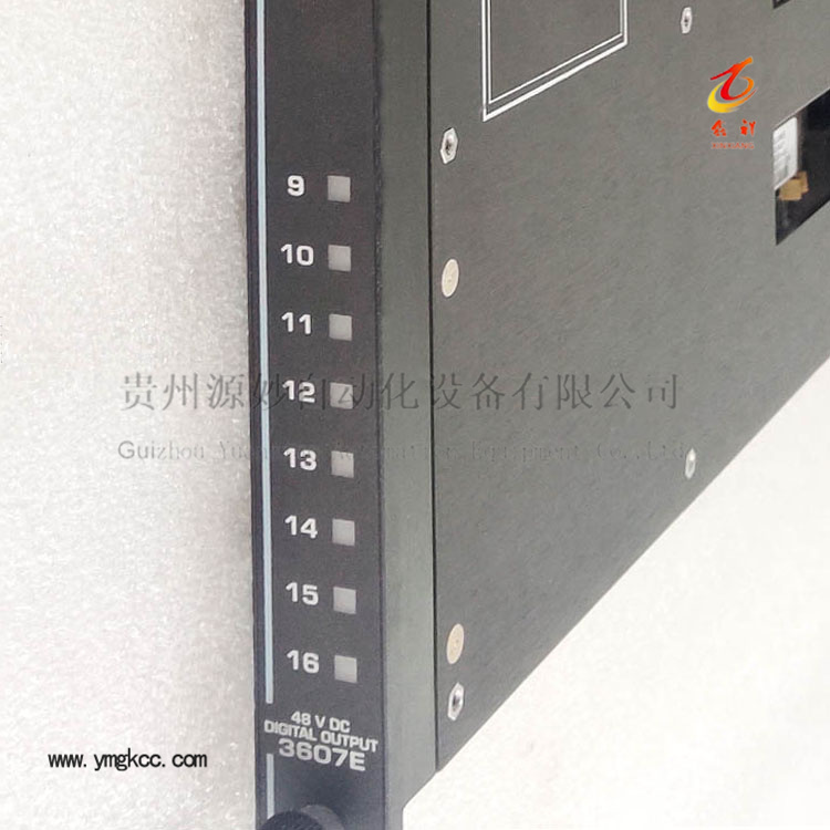 TRICONEX 3607E Digital Output Modules TRICON 7400116-080.jpg
