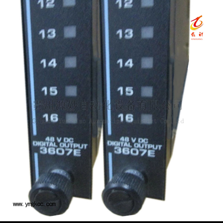 TRICONEX 3607E Digital Output Modules TRICON 7400116-080..jpg