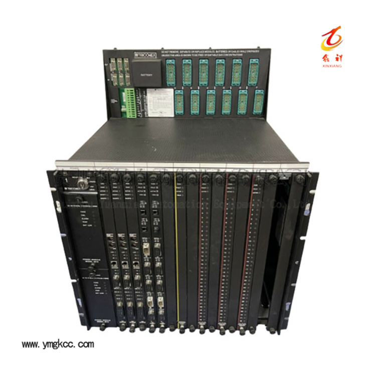 TRICONEX 8110jpg.jpg